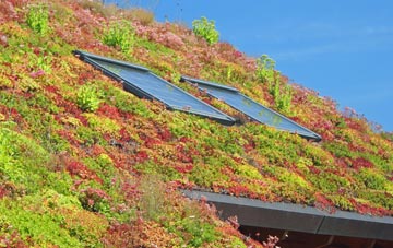 Hornsea Burton living roof systems